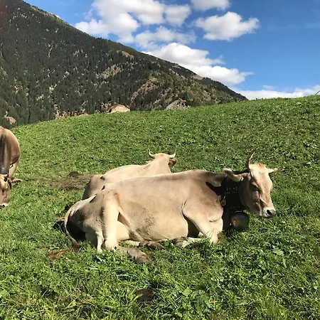 Charmantes Bijou In Der Aletschregion * Grengiols